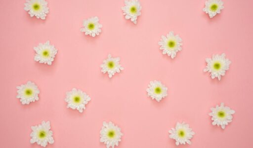 white and yellow flower on pink wall